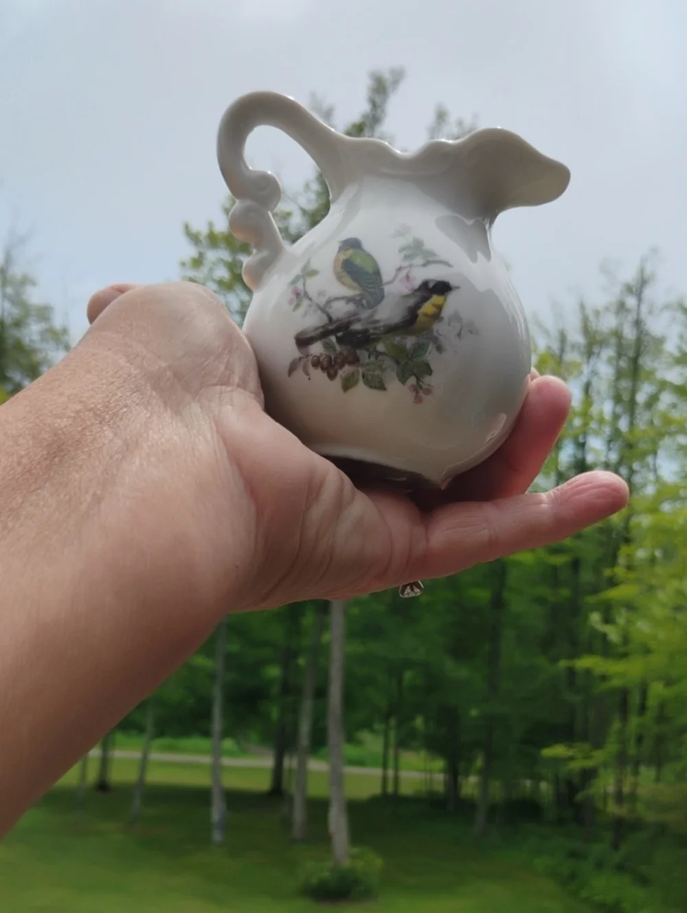 Mid-century Modern Royal Parakeet CREAMER VNVC